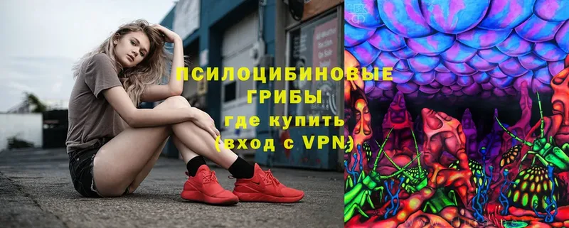 omg маркетплейс  Тарко-Сале  Галлюциногенные грибы Psilocybe  продажа наркотиков 